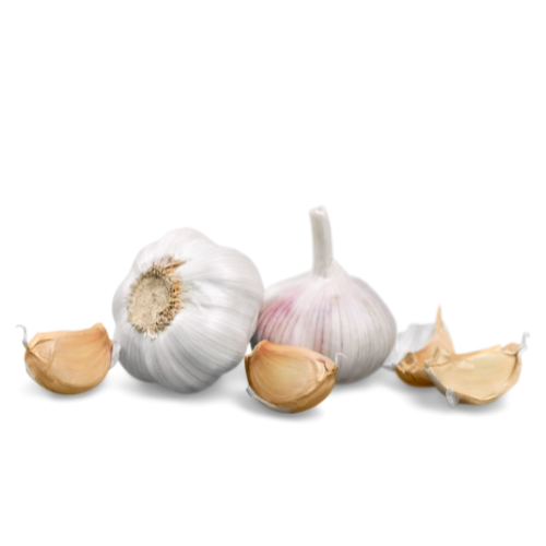 Garlic Garlic