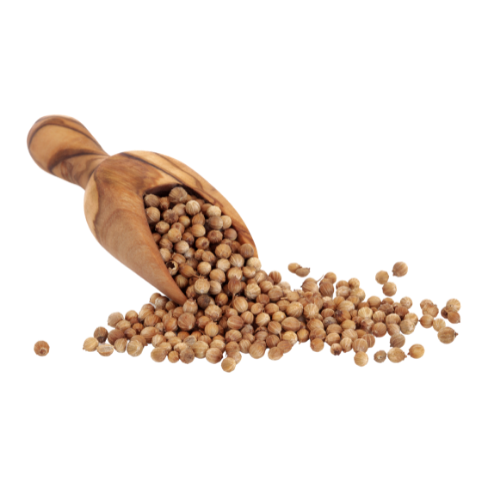 Coriander seeds Coriander seeds