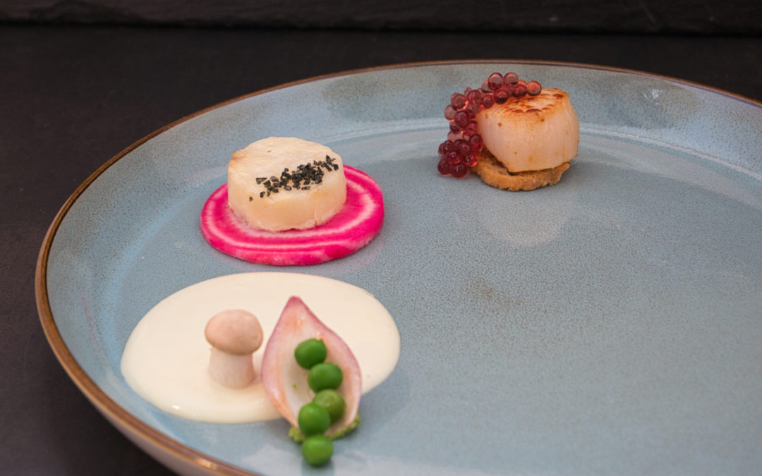 Exotic scallops with creamy sauce